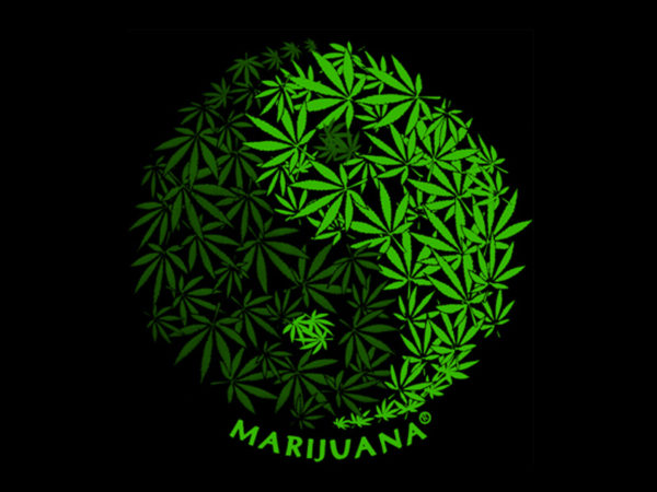 T-Shirt Noir Logo Yin et Yang avec Feuilles de Marijuana à Manches Courtes